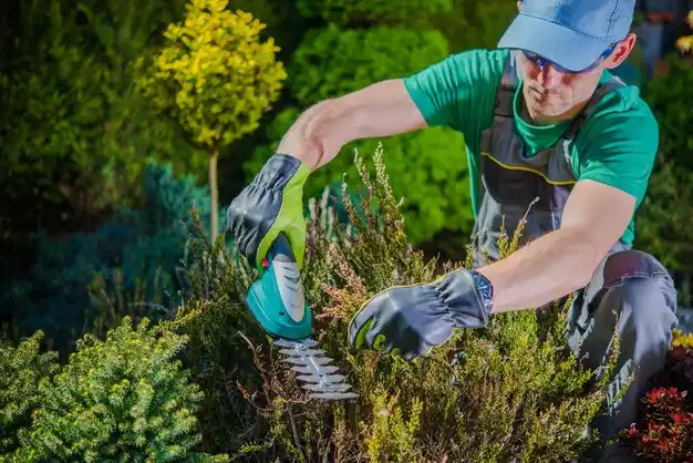 landscaping services Schoolcraft